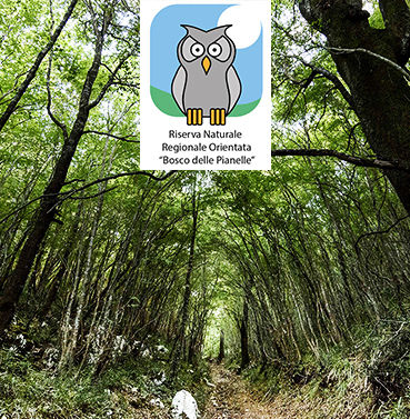 parco comunale delle pianelle